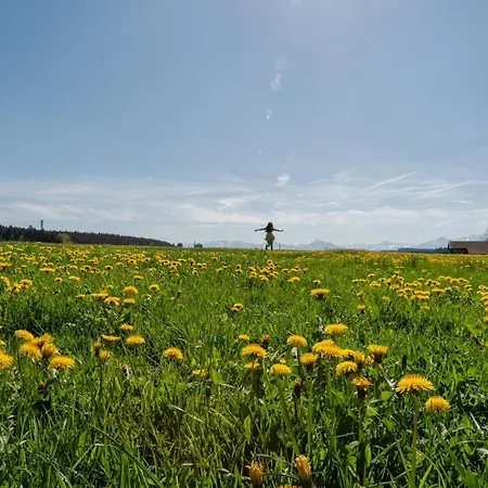 Weitblick Allgäu